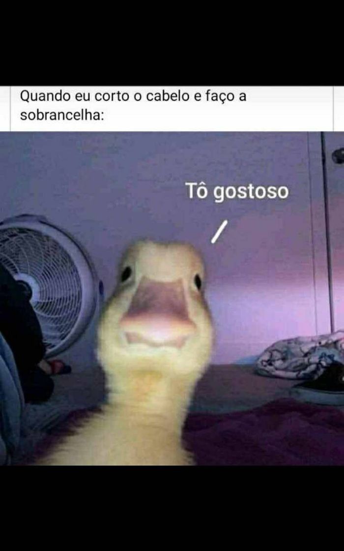 Moda Hehehhe, tô gostoso