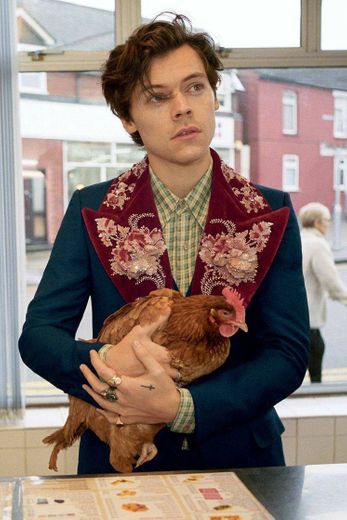 Eu chamo de... Harry e a galinha 