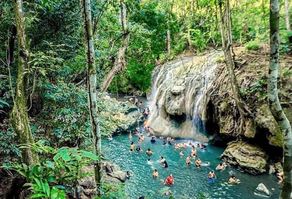 Lugar Finca EL Paraíso