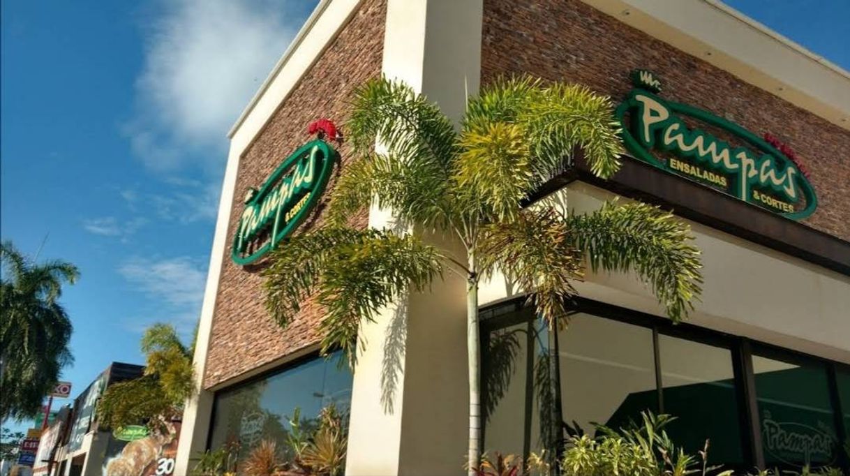 Restaurants Mr. Pampas Mérida