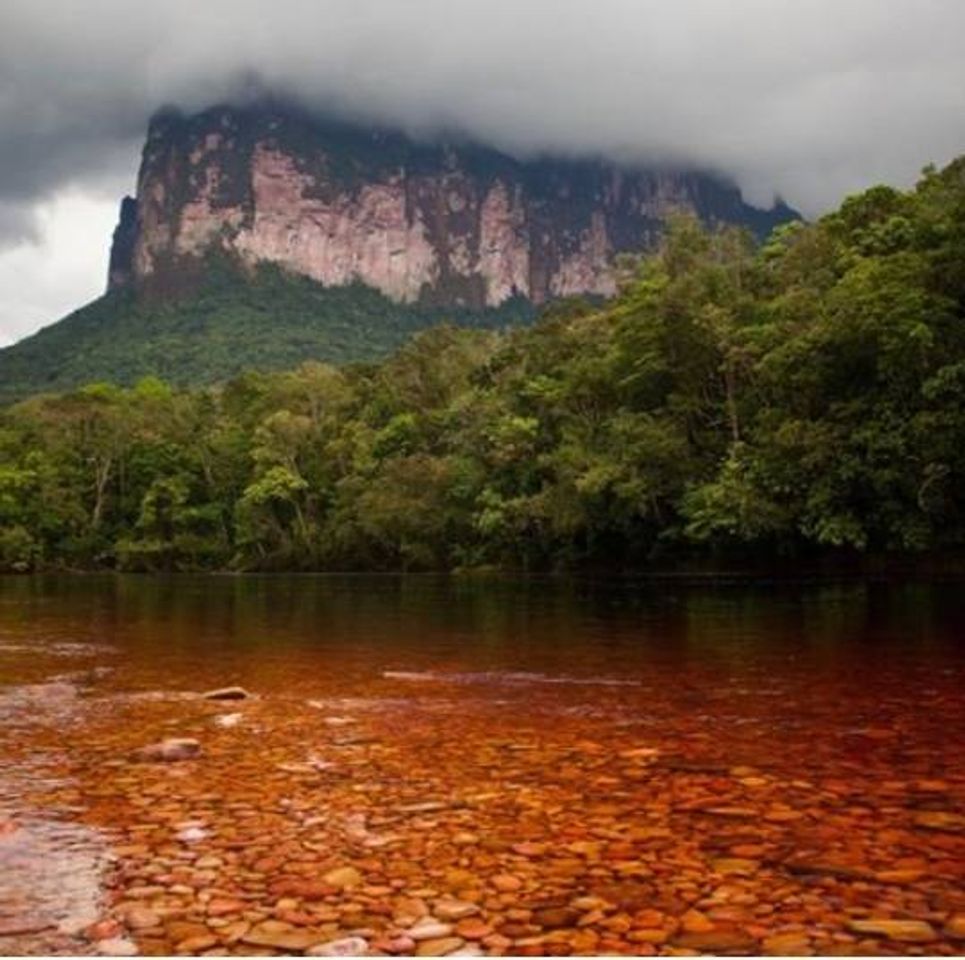 Moda Parque Nacional Canaima🇻🇪