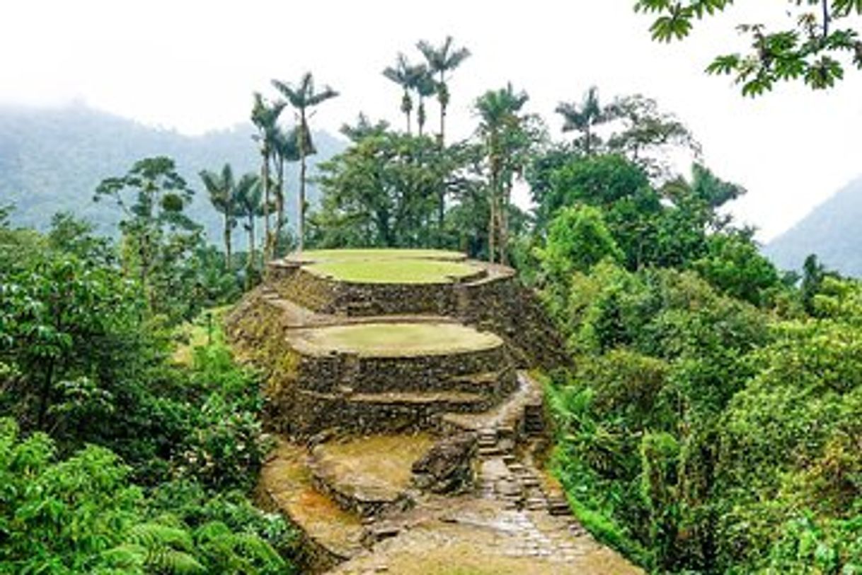 Place Ciudad Perdida