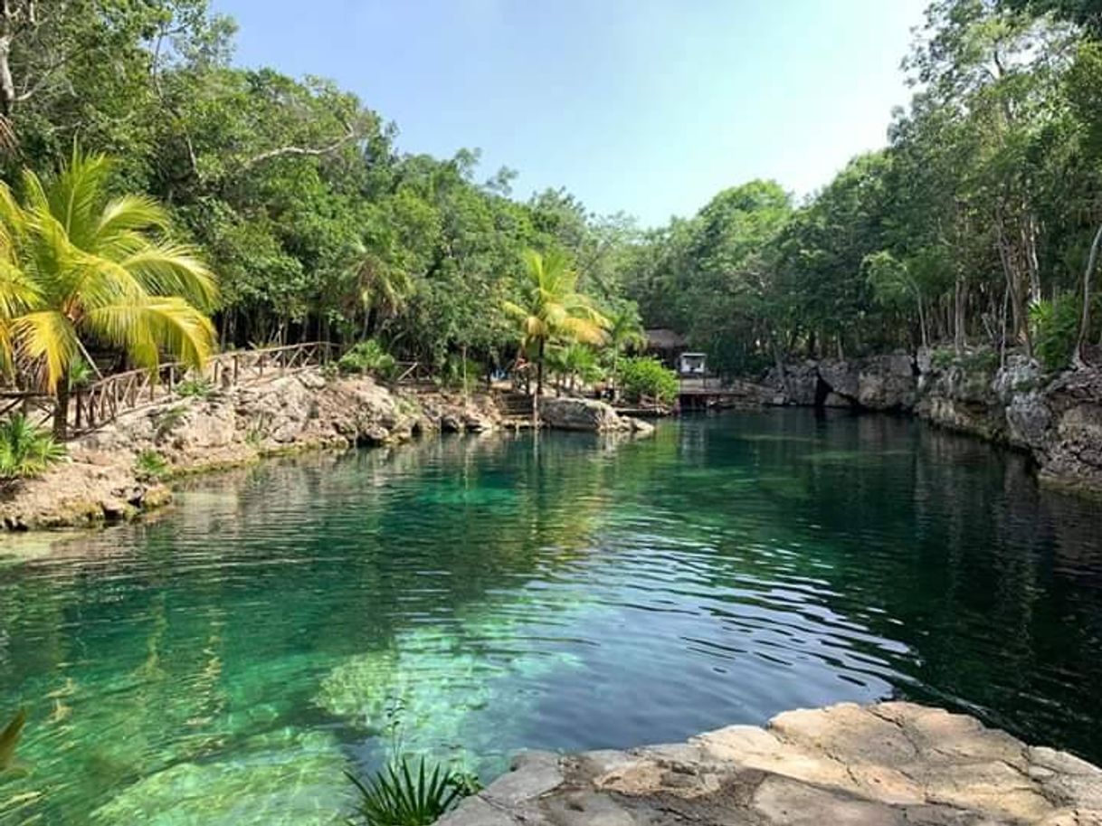 Place Casa Tortuga Tulum