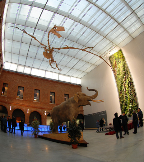Museo de Historia Natural de Toulouse