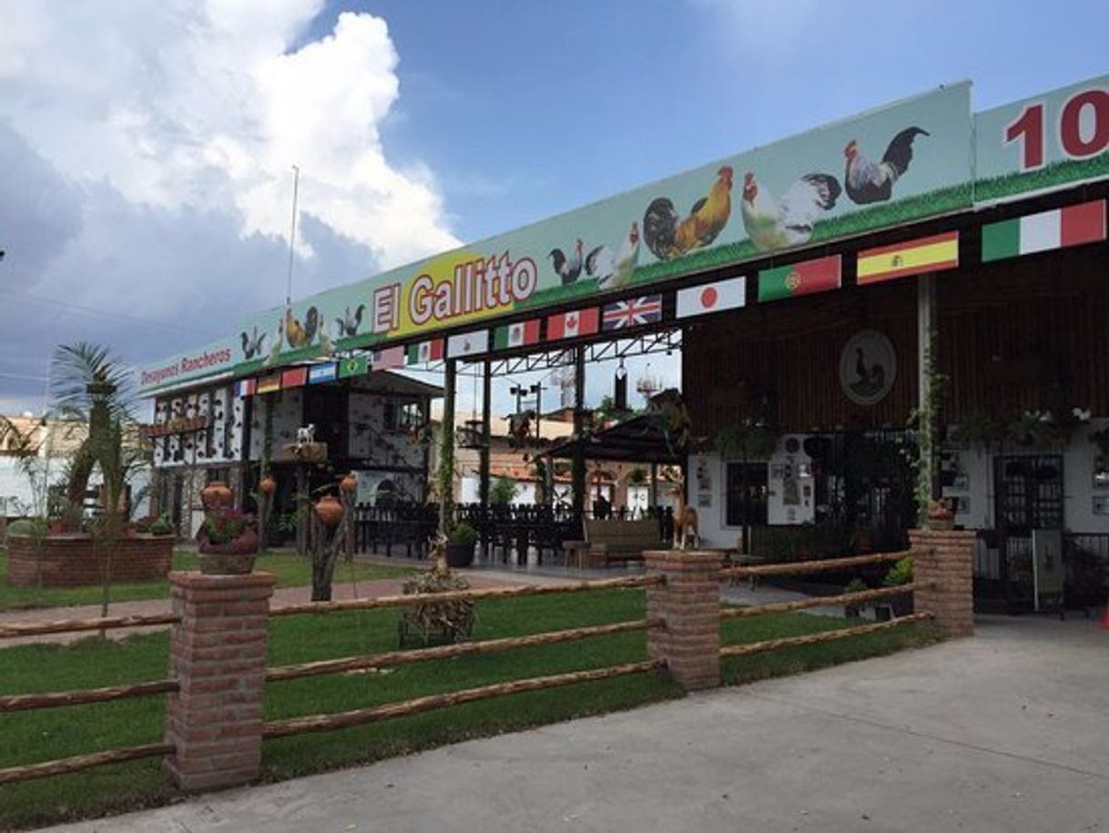 Restaurantes El Gallito Aeropuerto