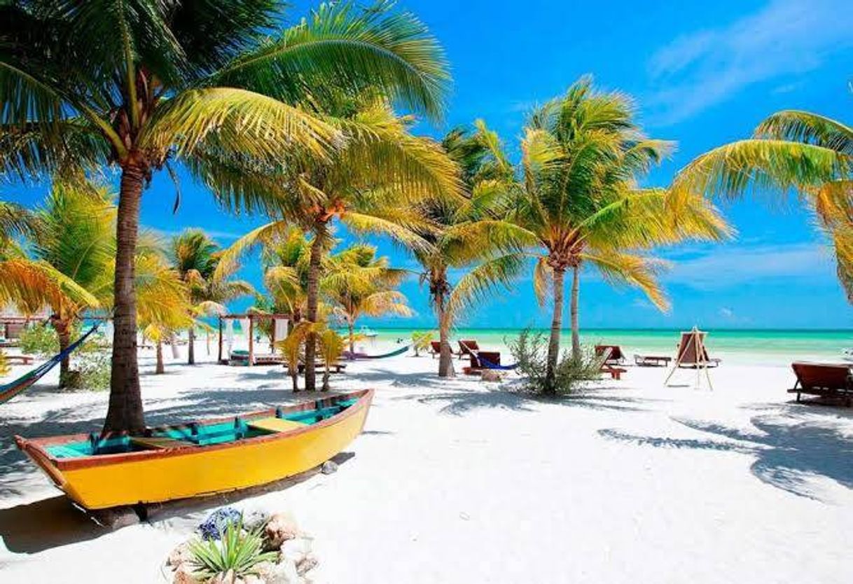 Lugar Isla de Holbox