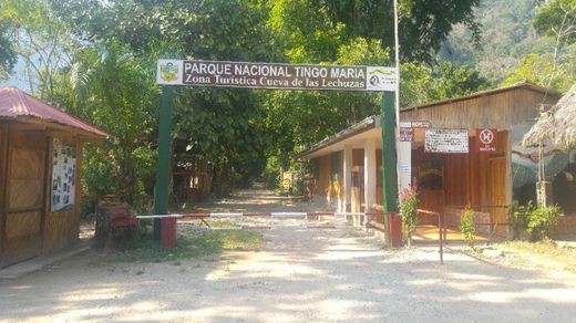 Parque nacional Tingo María