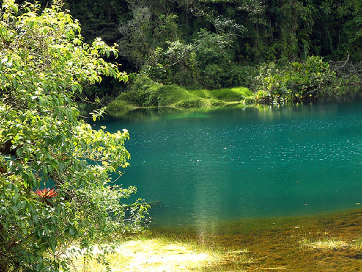 Places Parque Nacional Juan Castro Blanco