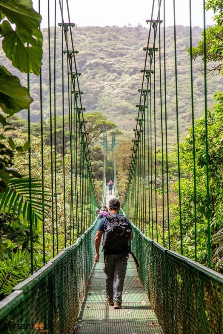 Lugar Monteverde