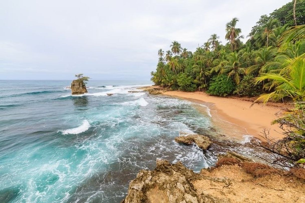 Lugar Puerto Viejo de Limón