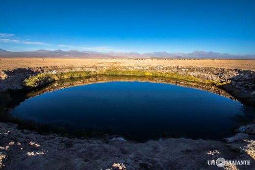 Ojos del Salar