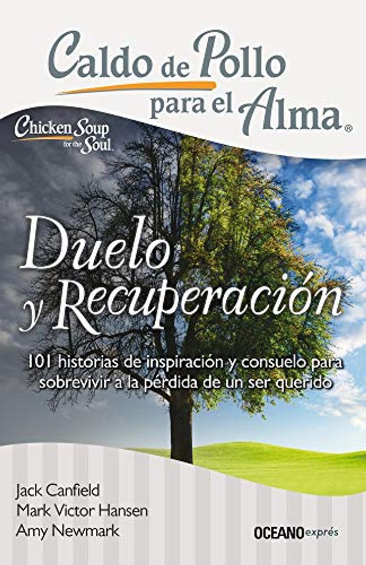 Libro Duelo y recuperación: 101 Historias De Inspiración Y Consuelo Para Sobrevivir a