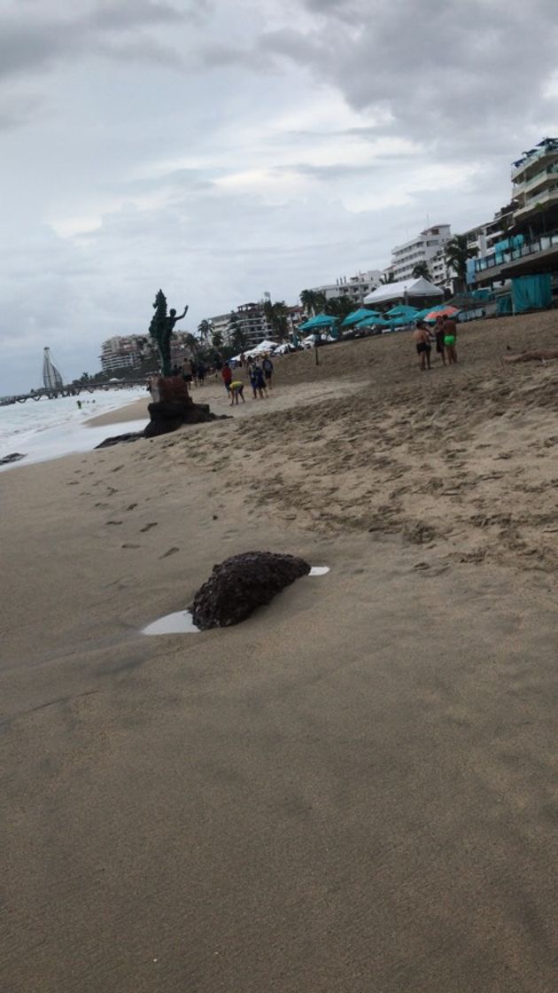 Lugar Puerto Vallarta