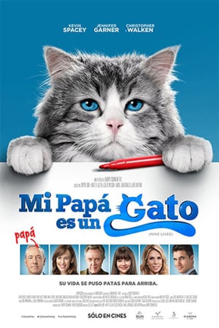 Película Siete vidas, este gato es un peligro