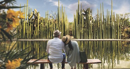 Jardín Etnobotánico de Oaxaca