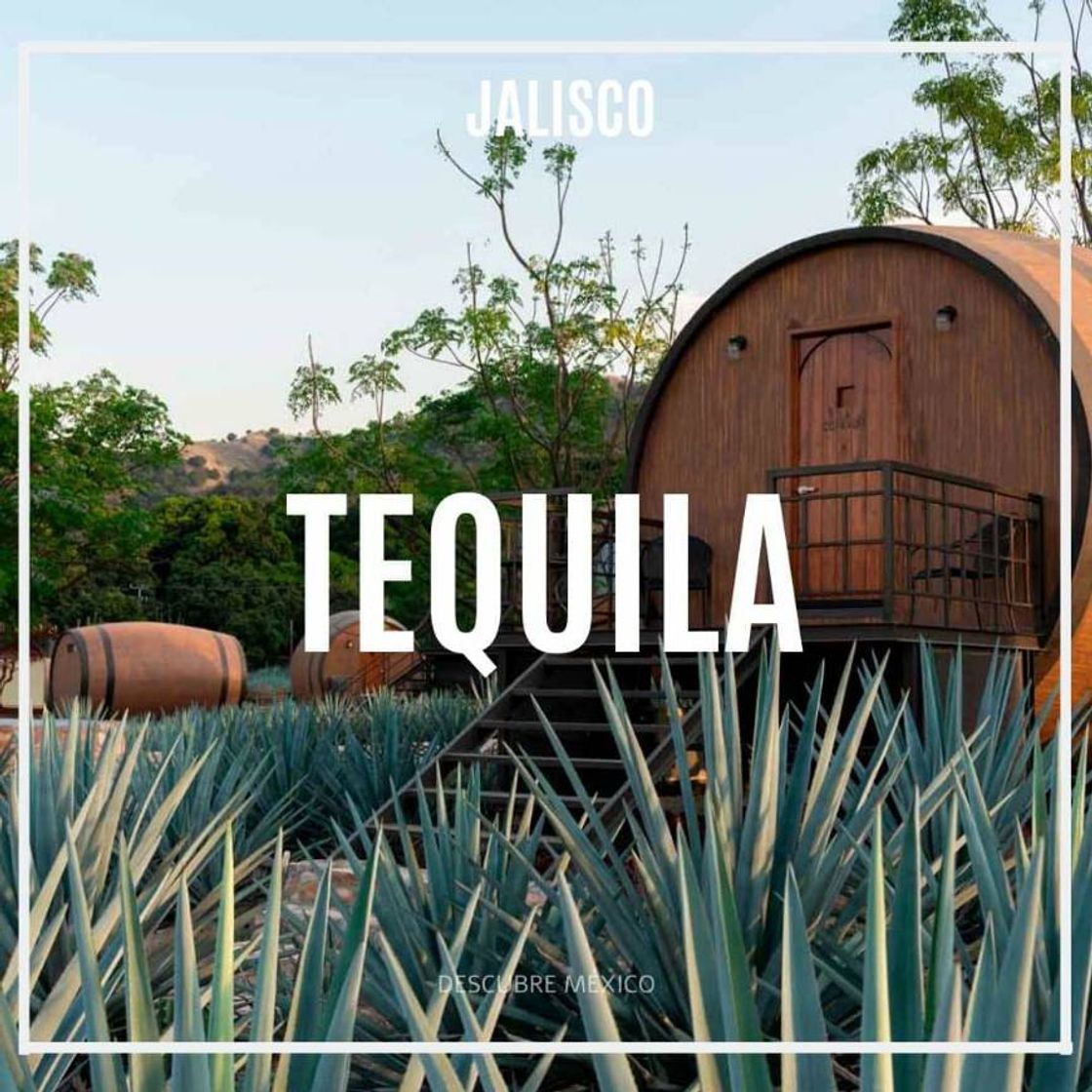 Place Tequila