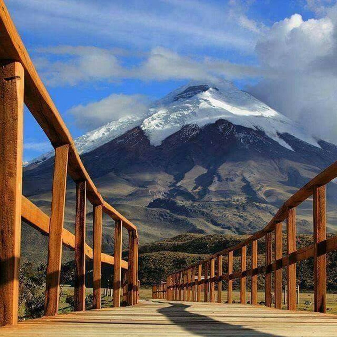 Fashion El parque Nacional del Cotopaxi.