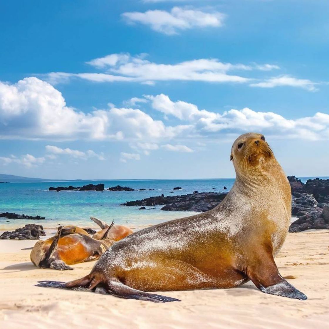 Fashion Las ISLAS GALÁPAGOS, un destino único en el mundo - YouTube