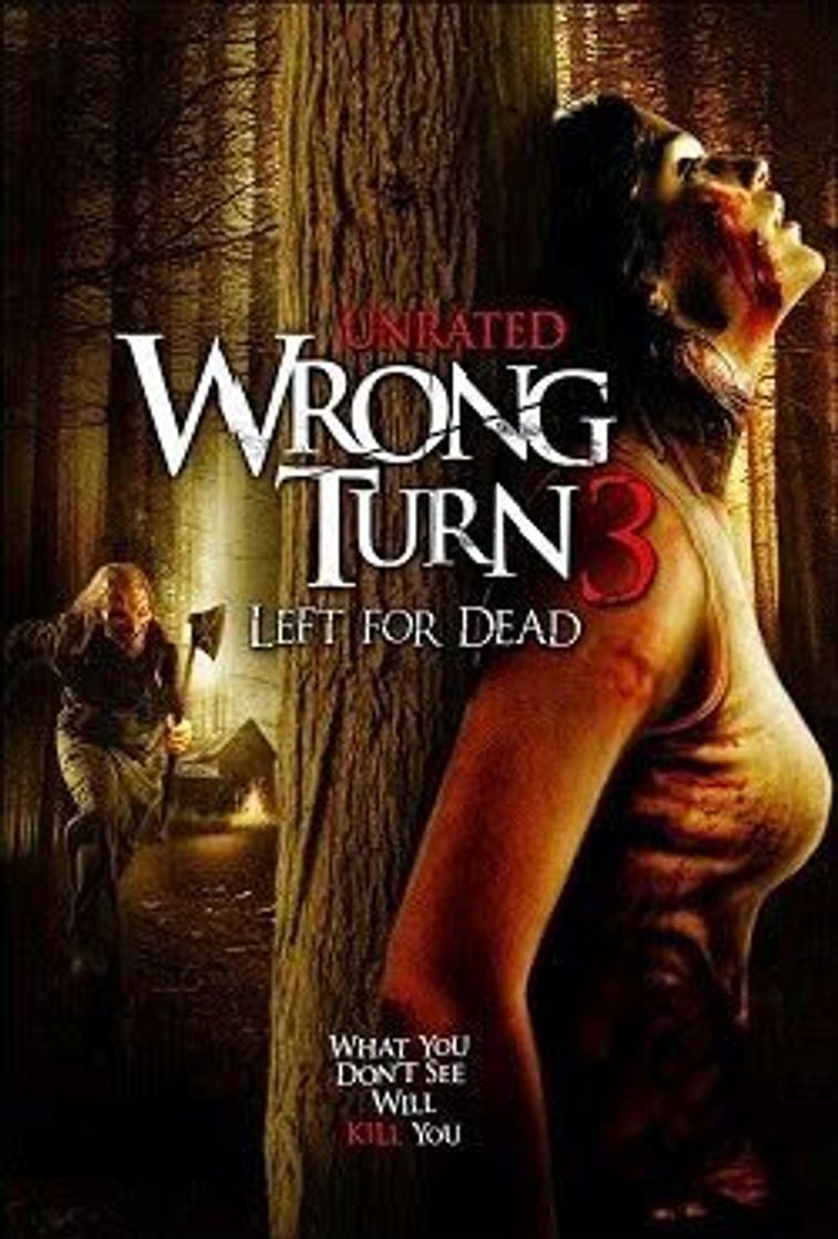 Película Ver Camino Hacia el Terror (2003) Online Latino HD - PELISPLUS
