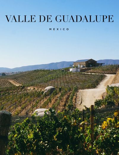 Valle de Guadalupe