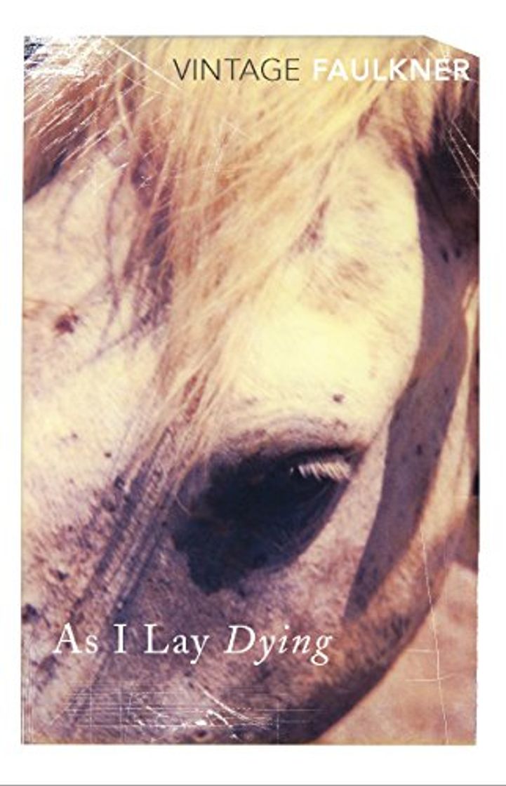 Libros As I Lay Dying