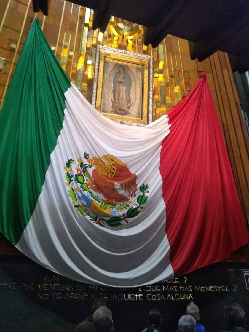 Lugar Basílica de Guadalupe