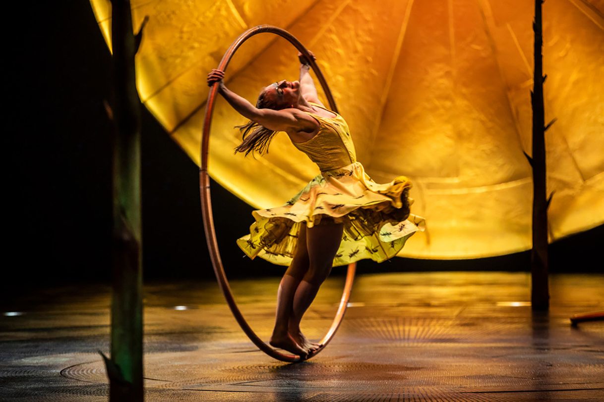 Moda Cirque du Soleil - Luzia