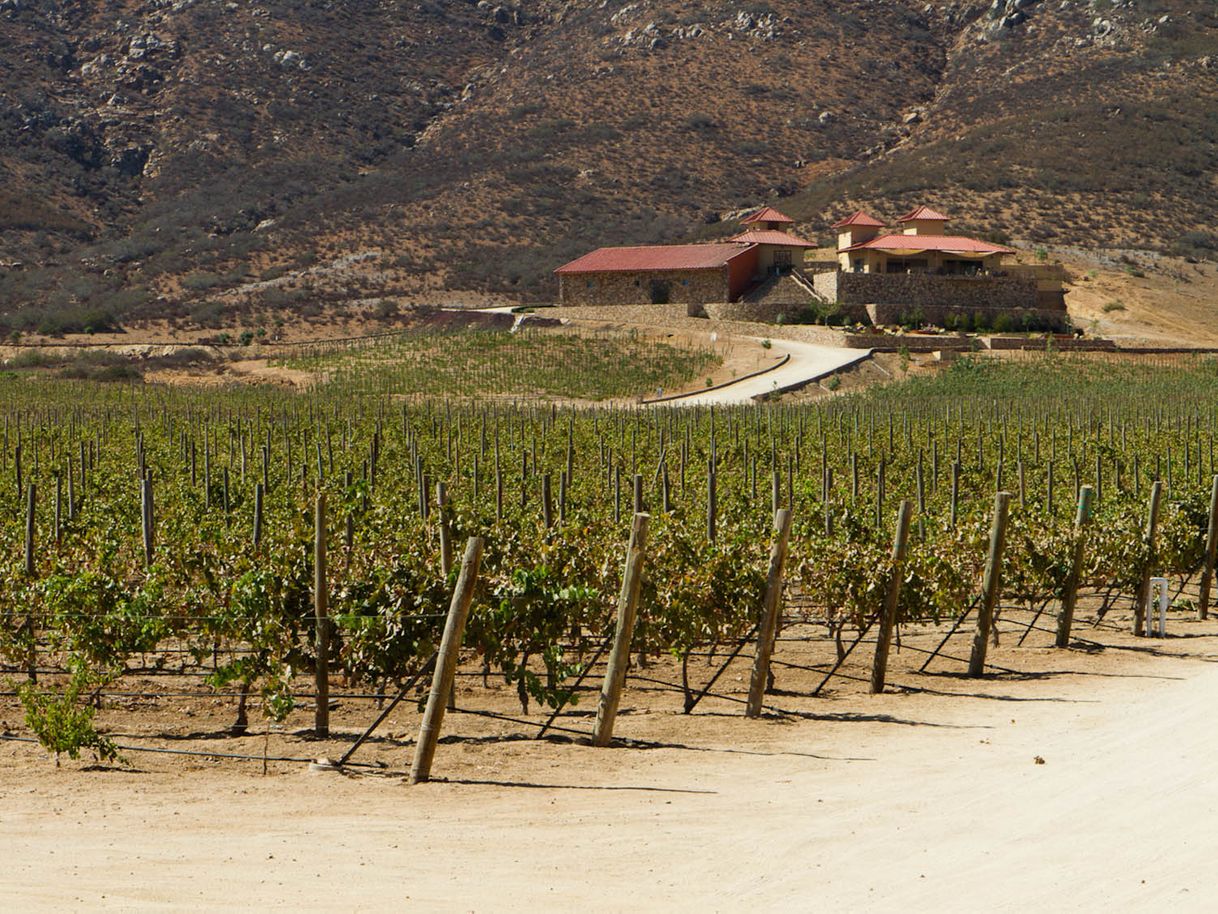 Lugar Valle de Guadalupe