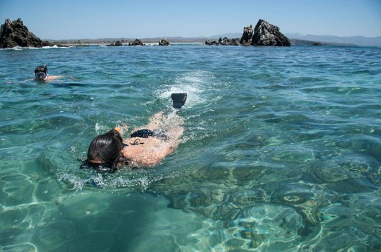 Lugar Playa tenacatita