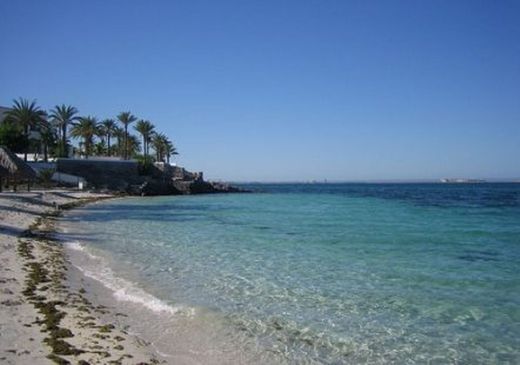 Playa El Caimancito