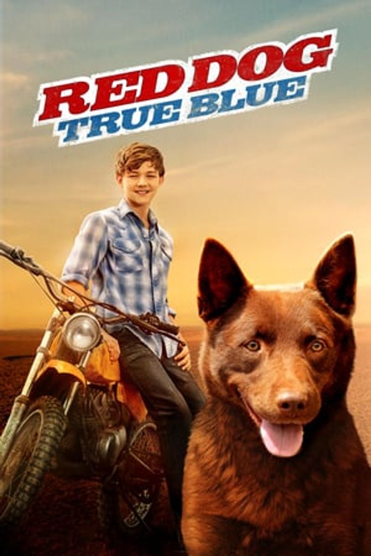 Película Mi amigo Blue