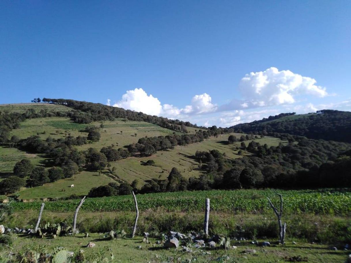Lugar Zaragoza