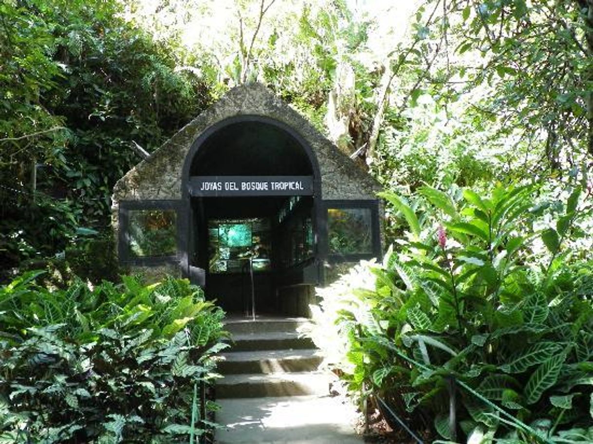 Places Parque Zoológico y Jardín Botánico Nacional Simón Bolívar