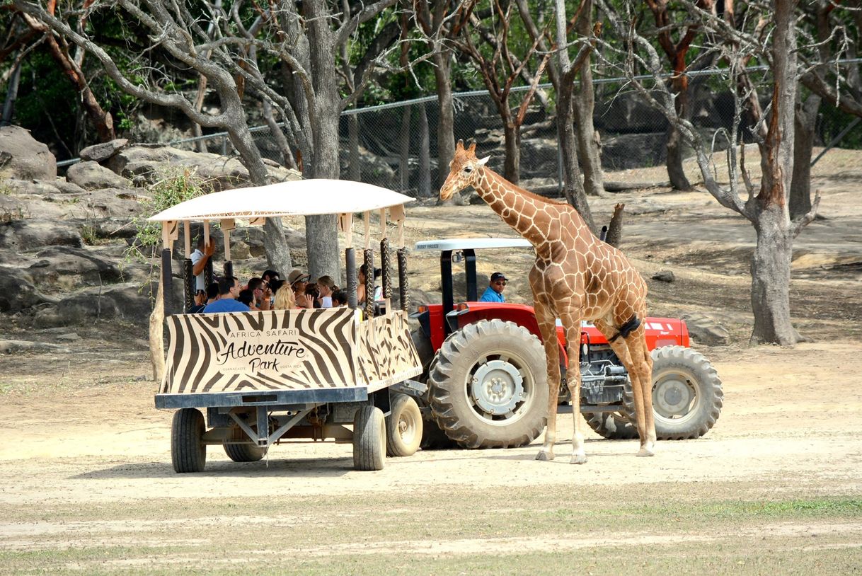 Place África Safari Costa Rica