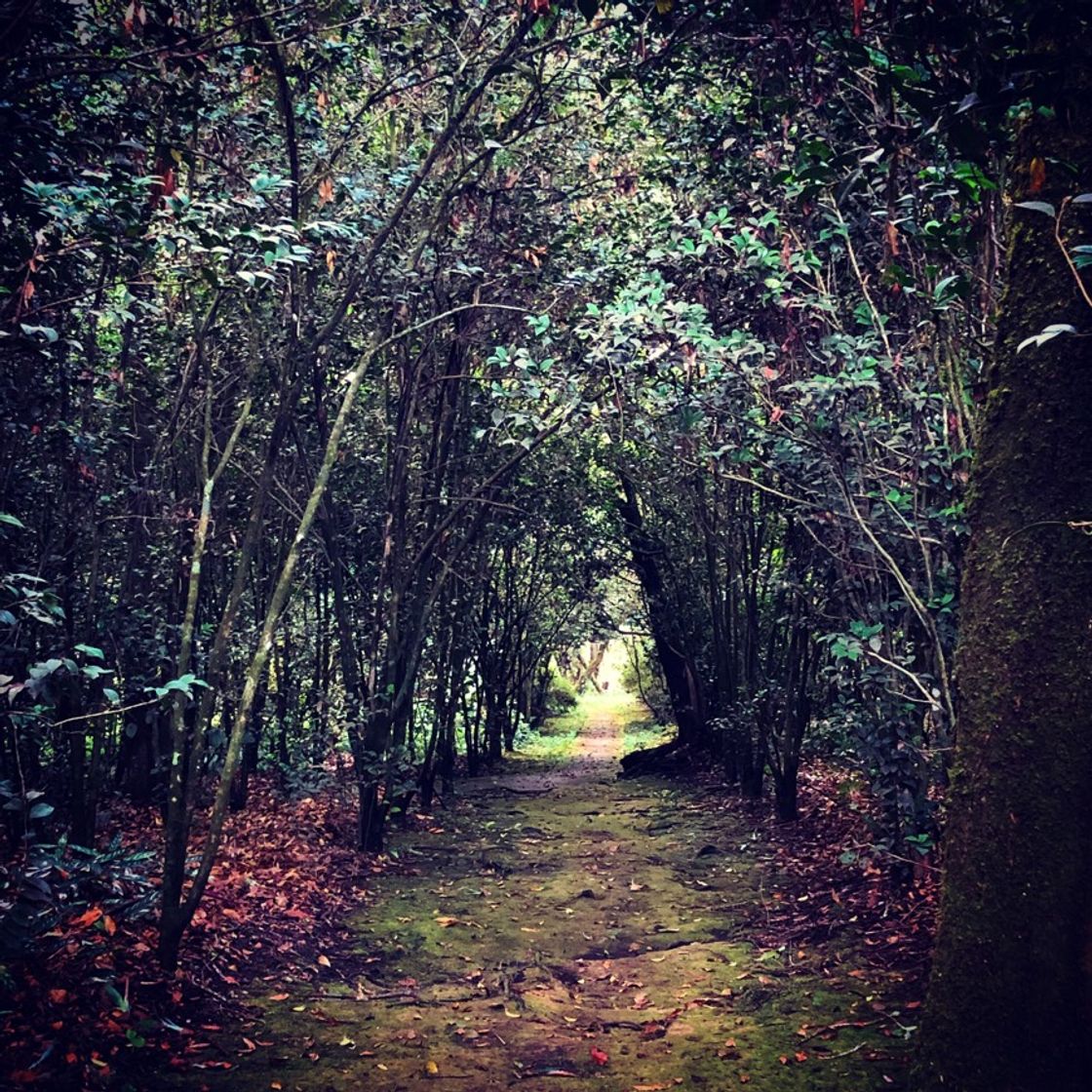 Place Xicotepec de Juarez Puebla