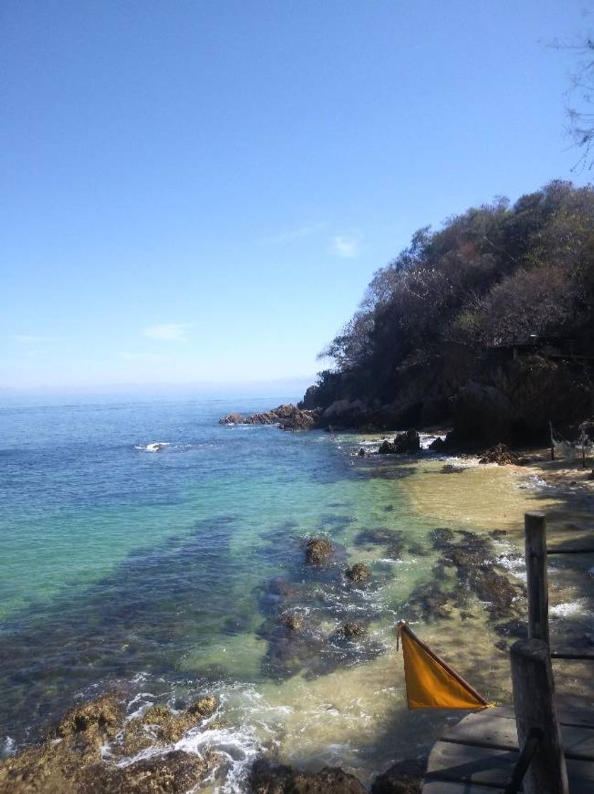 Lugar Vallarta Adventures