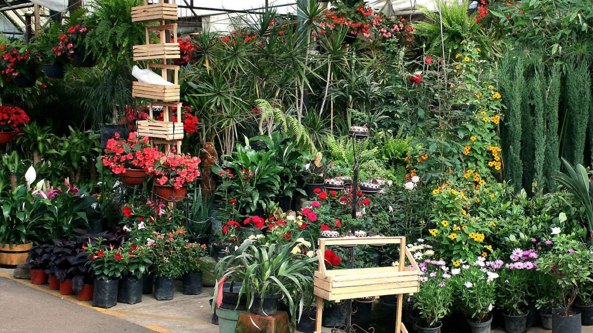 Place Mercado de Plantas y Flores de Cuemanco