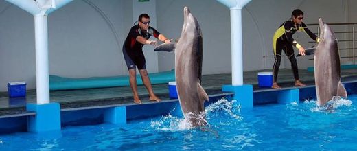 Acuario de Veracruz