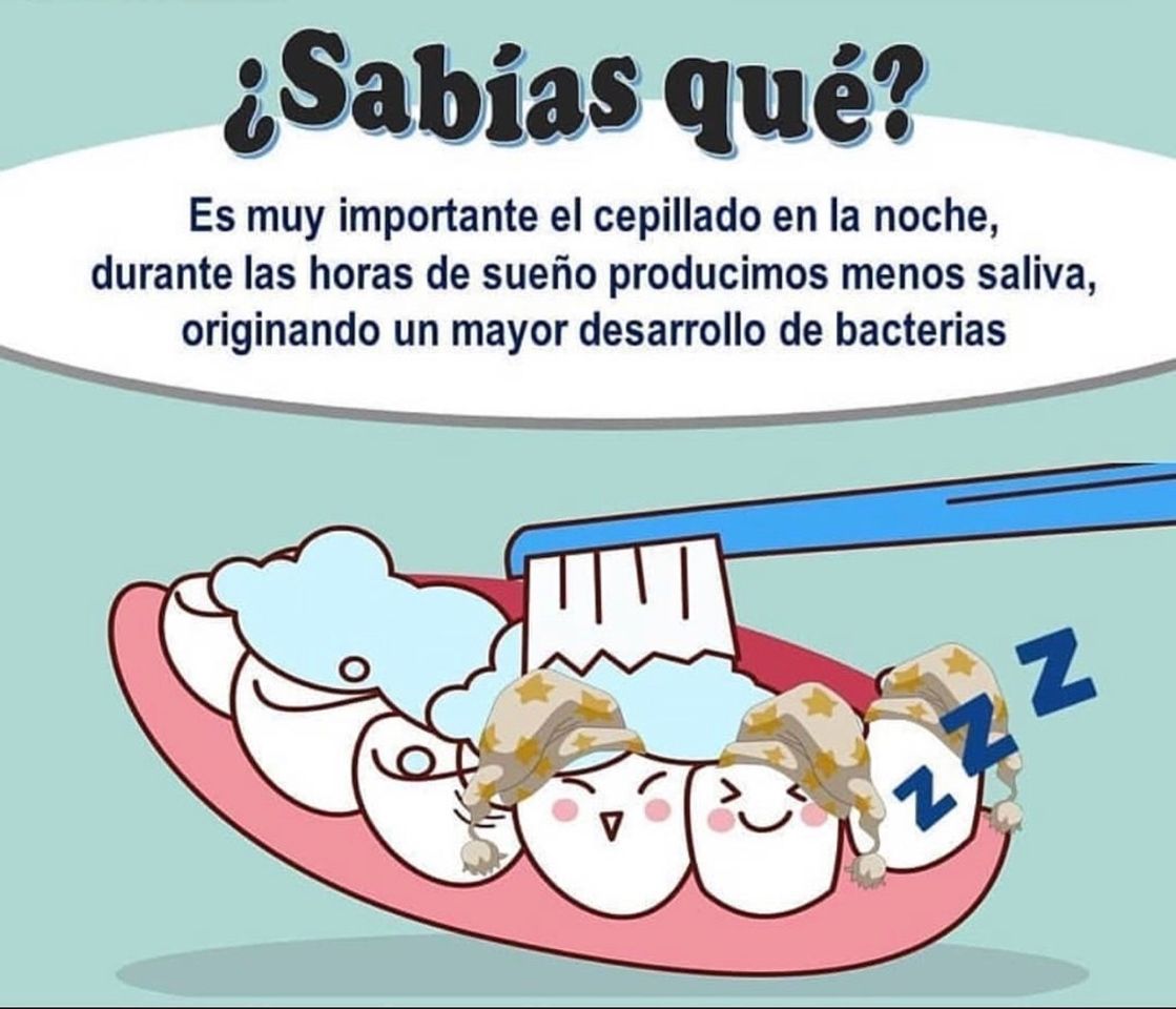 Social Importancia del cepillado dental.🦷