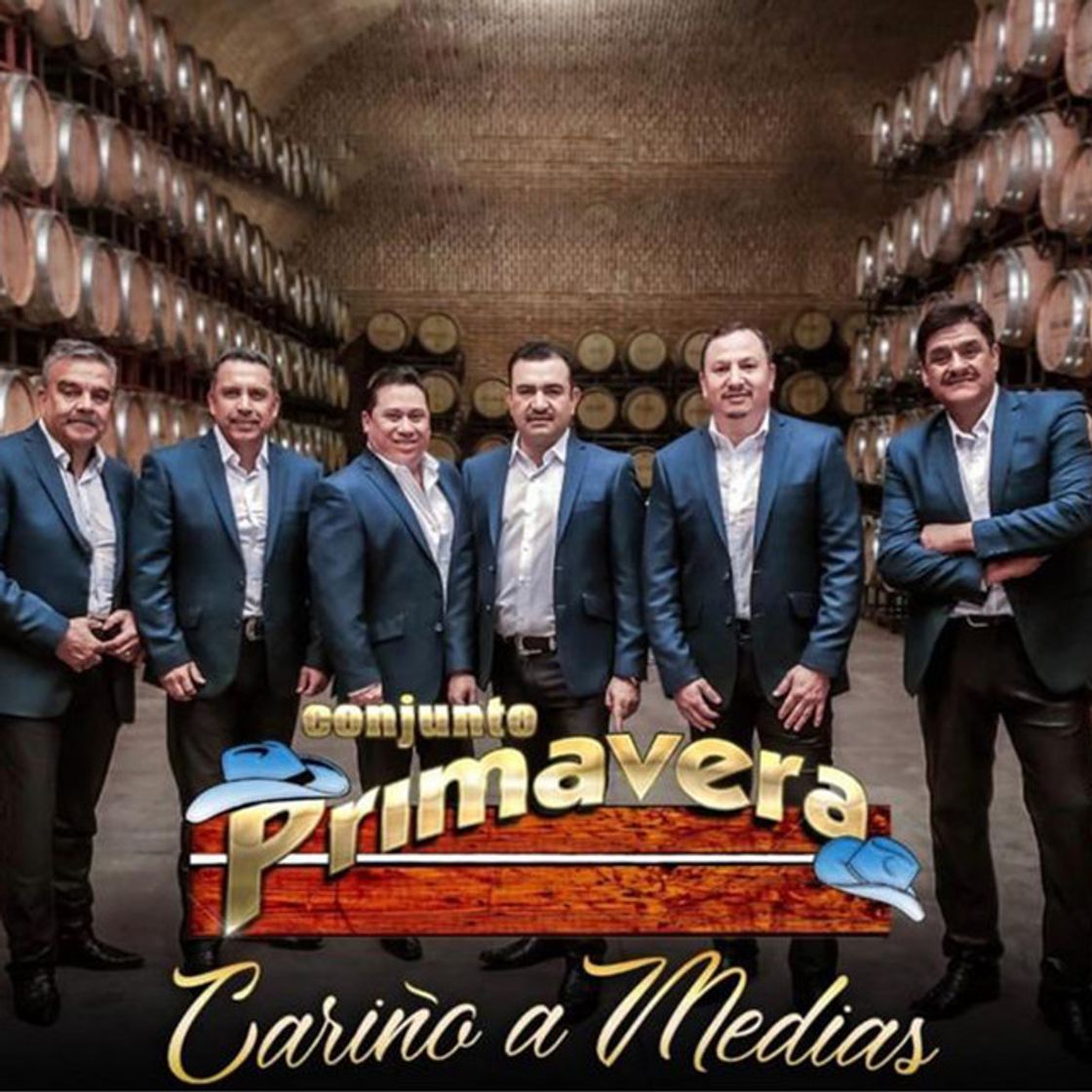 Canción Cariño a Medias