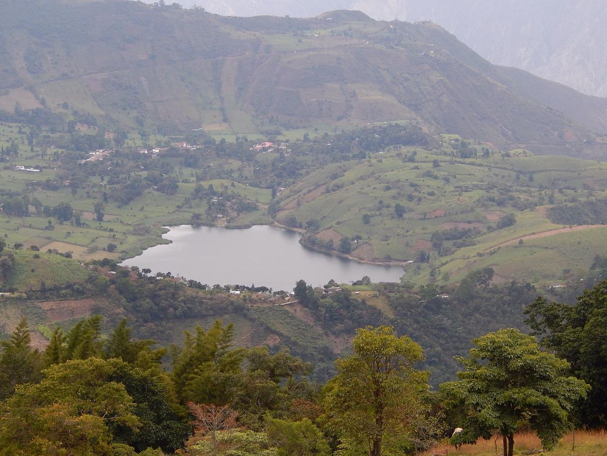 Moda Laguna de ortices 