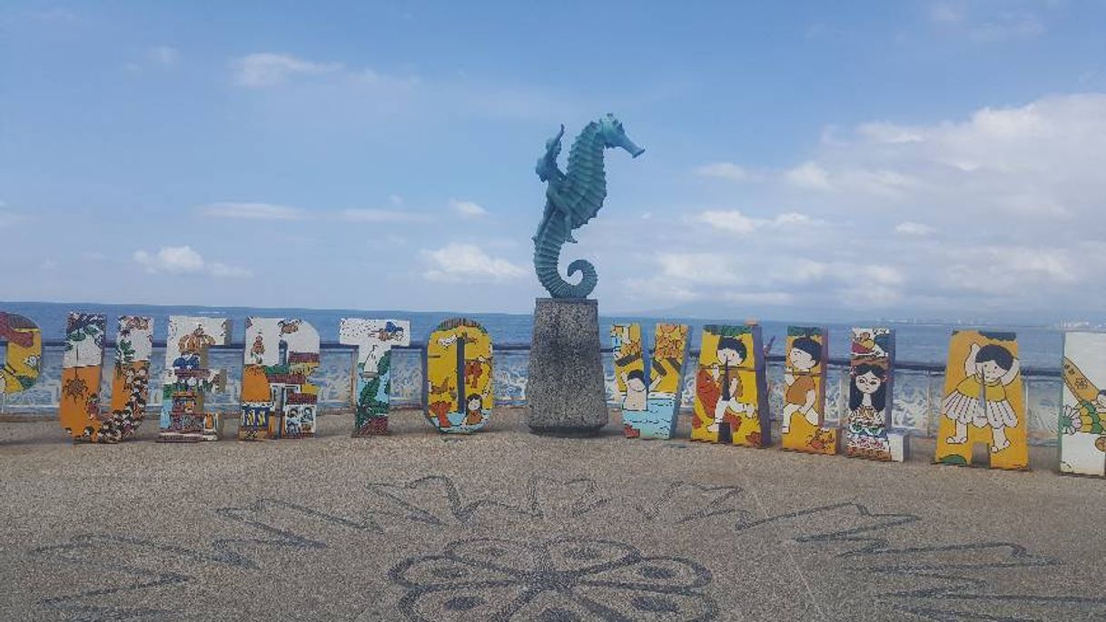 Place Puerto Vallarta