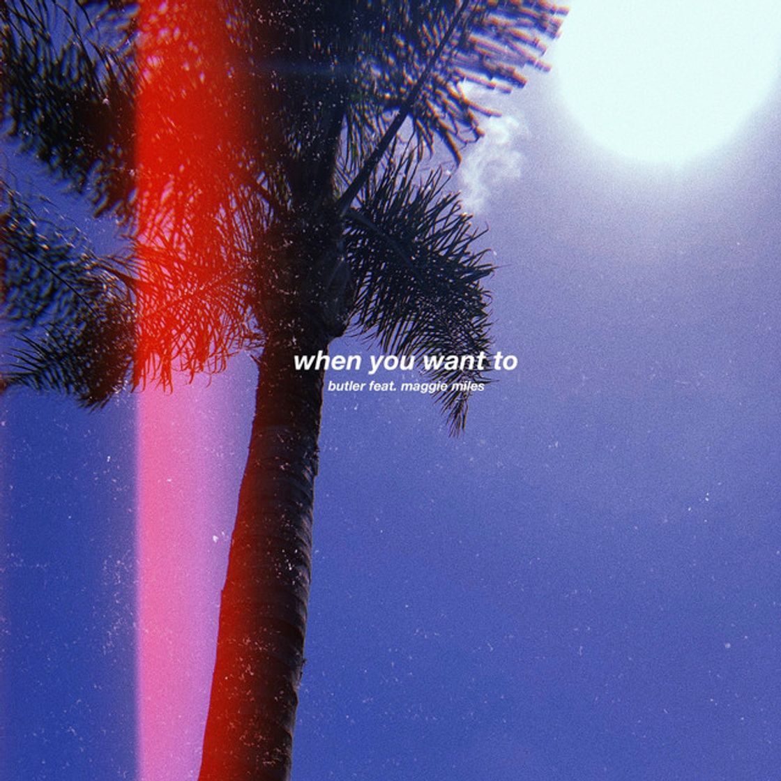 Canción When You Want To