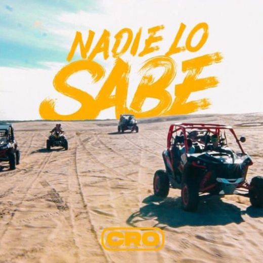 Nadie Lo Sabe