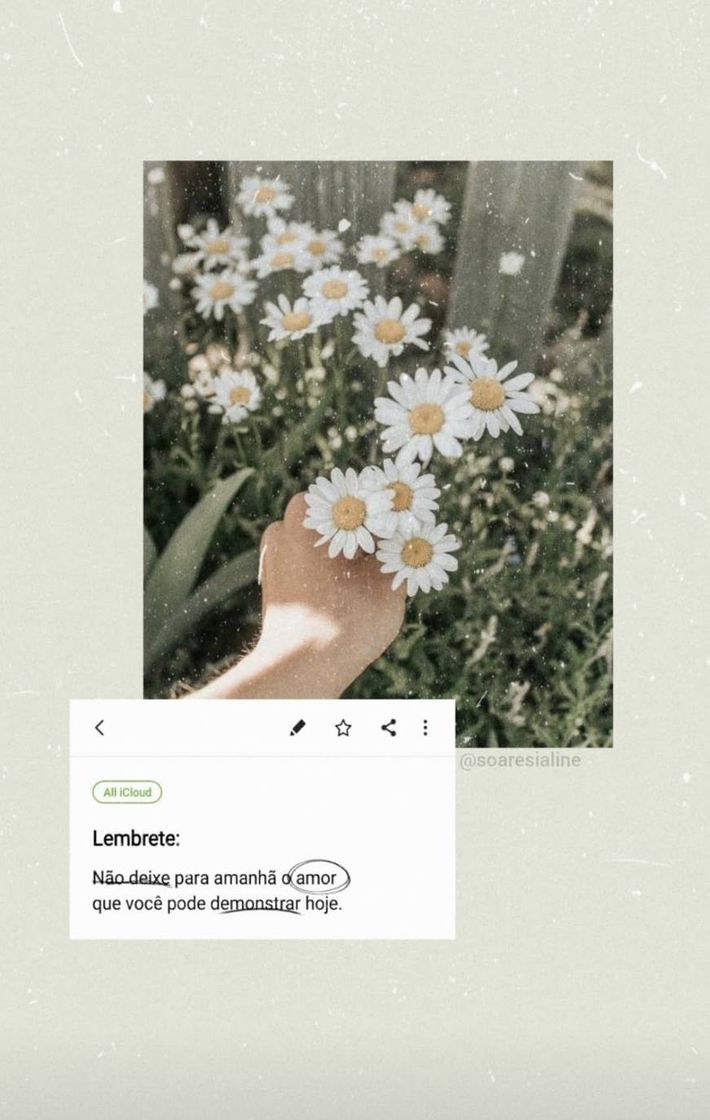 Social Fʀᴀsᴇs
