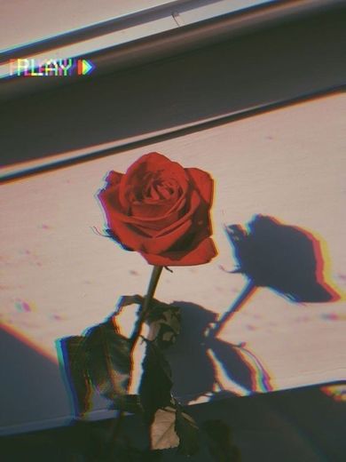 🌹