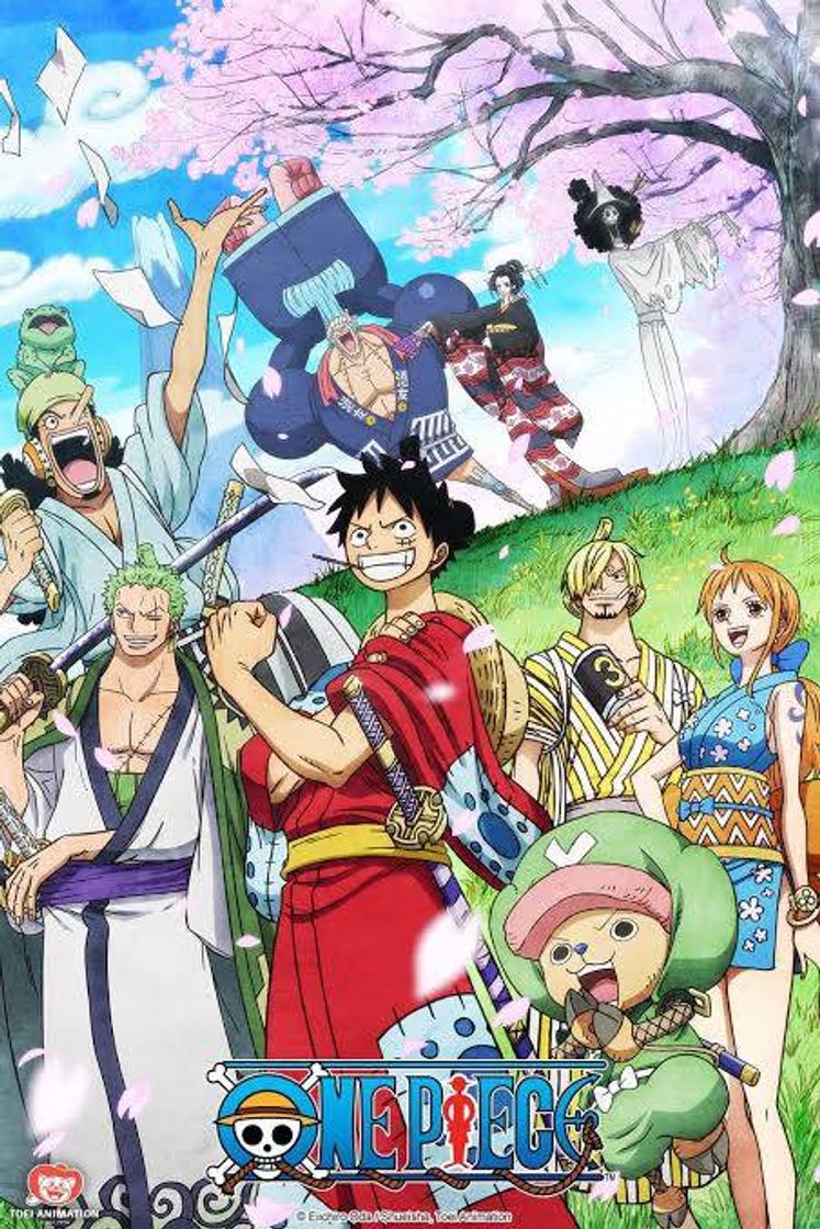 Serie One Piece