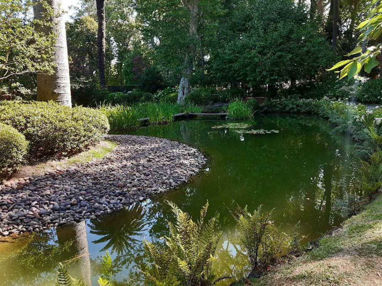 Lugar Jardín Japonés de Montevideo