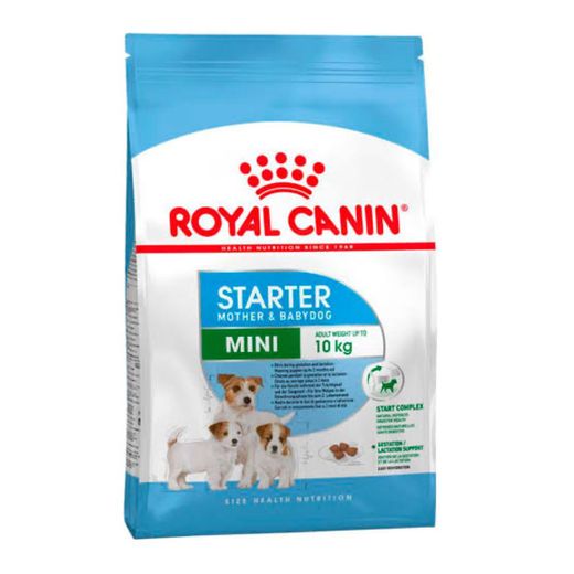 Royal Canin Starter Mini 