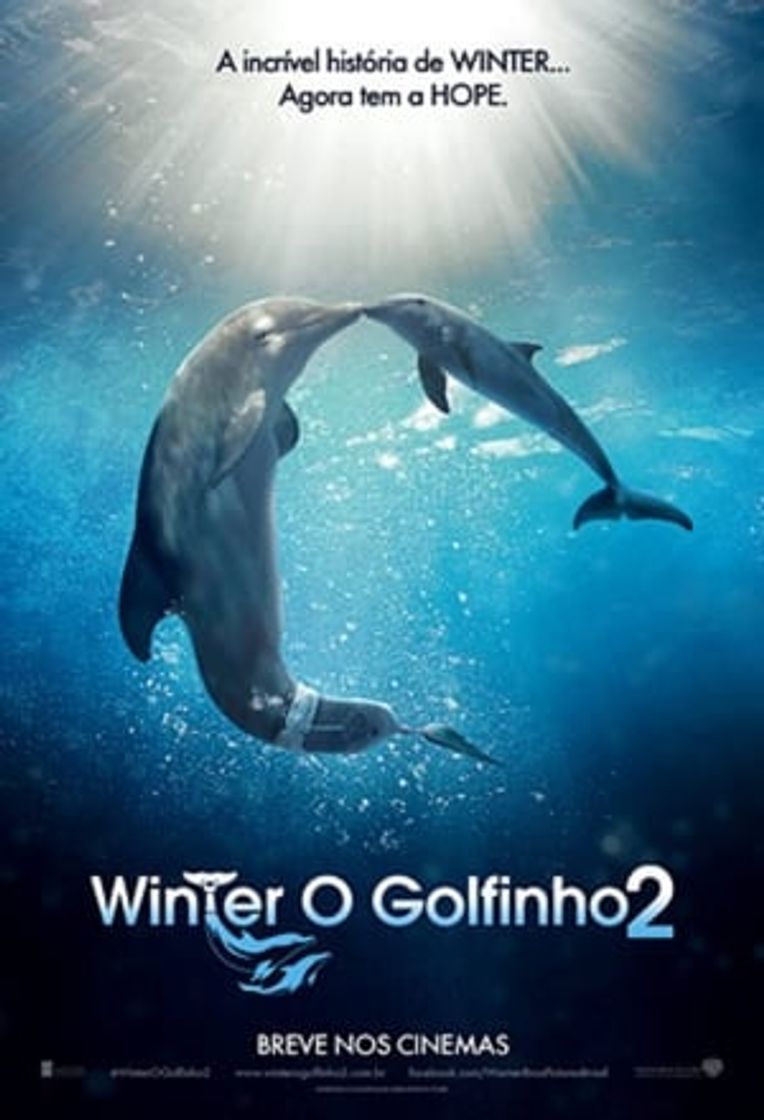 Película La gran aventura de Winter el delfín 2